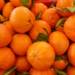 Koinobio_Fruits_Mandarines