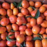 Koinobio_Fruits_Clementines