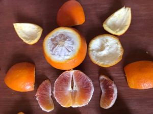 Koinobio_Fruits_Oranges_Tarocco2_resized